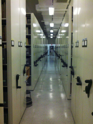 Library and Archive Stacks